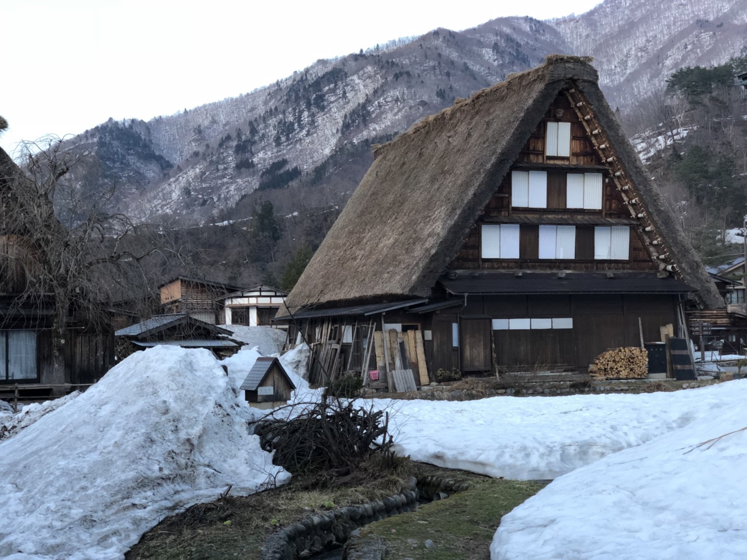 津軽の農地で行われる「雪囲い」